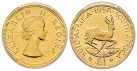 South Africa, Elizabeth II 1952 -
1 Pound, 1956, AU 7.98 g.
Ref : Fr.9, KM#54 Conservation : PCGS PR67
Quantité : 508 exemplaires