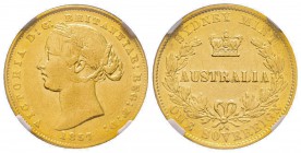Australia, Victoria I 1837-1901
Sovereign, Sydney, 1857 S, AU 7.98 g. 917‰
Ref : Fr. 10, KM#4 Conservation : NGC XF45