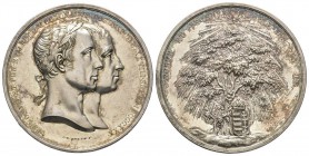 Hungary
Médaille en argent, couronnement du Prince héritier Ferdinand (Ier) comme Roi de Hongrie, Vienne, 1830, AG 43.9 g. 48 mm Par Josef Daniel Boe...