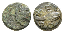 Thracian, Chersonesos. AE Circa 386-309 BC. Roaring head of lion to right / Barley grain; XEP-PO above and below. HGC 3.2, 1440 Rare with head right. ...