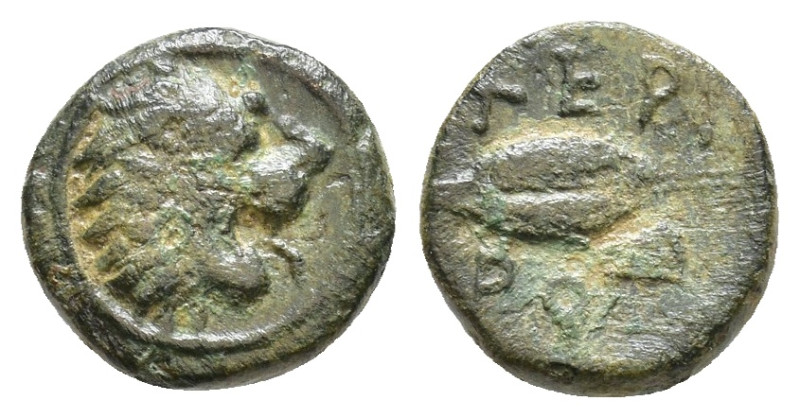 Thracian, Chersonesos. AE Circa 386-309 BC. Roaring head of lion to right / Barl...