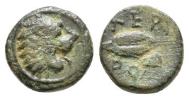 Thracian, Chersonesos. AE Circa 386-309 BC. Roaring head of lion to right / Barley grain; XEP-PO astragalos(?) above and below. HGC 3.2, 1440 (without...