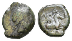 Mysia, Lampsakos. Circa 400-300 BC. AE Laureate head of Zeus / Forepart of pegasos; below, trident. SNG von Aulock -; SNG Copenhagen 215. AE 1,89g.