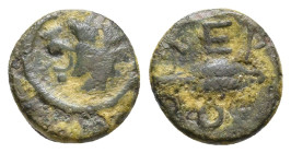 Thracian, Chersonesos. AE Circa 386-309 BC. AE 1,05g.