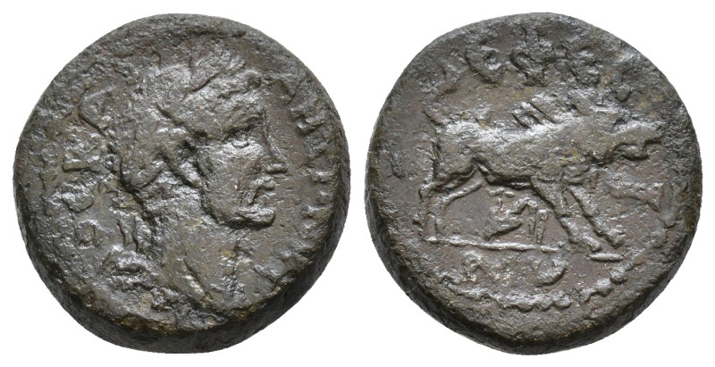Ionia, Ephesus, Antoninus Pius. 138-161 AD. AE Obv: ΚΑΙ ΑΝΤΩΝƐΙΝΟϹ. Laureate hea...