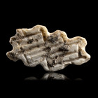 *SCEAU SIGILLÉ
En marbre blanc, figurant une série de rectangles à formede labyrinthe. Rare.
27 x 52 x 7mm.
Grèce, Thessalie,Néolithique, c.6000 av...