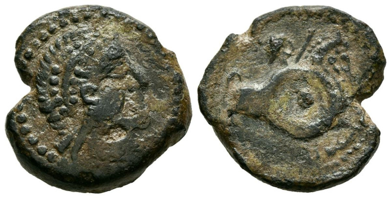 CARISA (cerca de Bornos, Cádiz). Semis. (Ae. 5,71g/19mm). 50 a.C. (FAB-448). Anv...