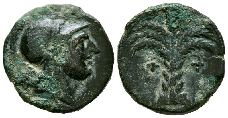 CARTAGONOVA (Cartagena, Murcia). Calco. (Ae. 4,88g/20mm). 220-215 a.C. (FAB-518)...