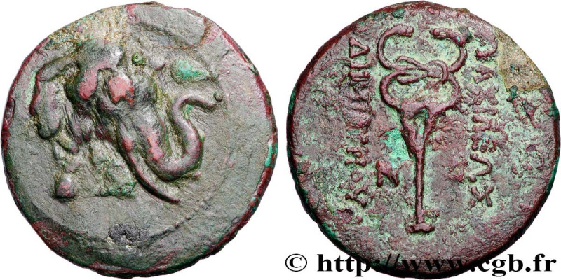 BACTRIA - BACTRIAN KINGDOM - DEMETRIUS I
Type : Triple unité 
Date : c. 200-185 ...