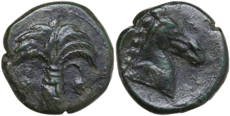 Punic Sardinia. AE 19.5 mm. c. 330-300 BC, uncertain mint. Obv. Palm tree with t...