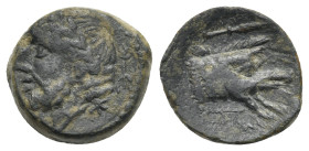 APULIA. Arpi. Circa 325-275 BC. (Bronze, 15.50 mm, 3.23 g). Laureate head of Zeus to left; behind his neck, thunderbolt. Rev. [ΑΡΠΑ-ΝΩΝ] Forepart of b...