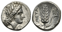 LUCANIA. Metapontion. 330-290 BC. Stater (Silver 19.5 mm, 7.94 g). Veiled and wreathed head of Demeter right. Rev. Barley ear with leaf to right; star...