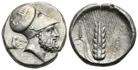 LUCANIA, Metapontion. Circa 340-330 BC. Distater struck under Ape- magistrate (Silver, 26 mm, 15.55 g). Head of Leukippos right wearing Corinthian hel...