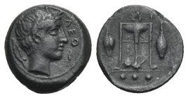 SICILY. Leontinoi. Circa 405-402 BC. Tetras (Bronze, 14.60 mm, 1.86 g). ΛΕΟΝ Laureate head of Apollo to right; behind, laurel leaf with berry. Rev. Tr...