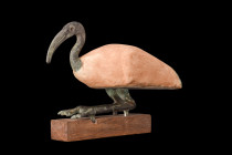 EGYPTIAN BRONZE IBIS

 Ptolemaic period, ca. 332-30 BC
 A bronze and stucco Ibis depicted seated with its wings closed. The intricate details of th...