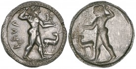 Bruttium, Caulonia, stater, c. 525-500 BC, ΚΑΥΛ, Apollo, naked, standing right with branch in right hand raised behind head and with small running fig...