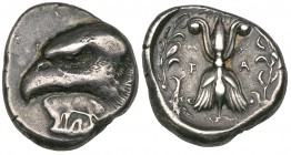 Elis, Olympia, stater, c. 408 BC (93rd Olympiad), signed by Da..., head of eagle left; white poplar leaf inscribed DA below, rev., F-A, thunderbolt wi...