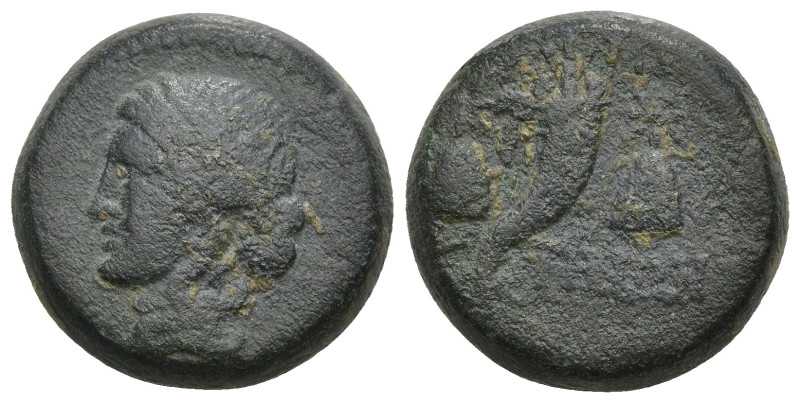 Greek
MYSIA, Adramytion. (2nd century BC. )
Ae Bronze (18.2mm 8.66g)