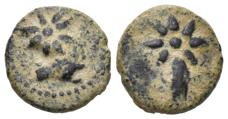 Greek
PONTOS. Uncertain, possibly Amisos. Struck under Mithradates VI (Circa 11...