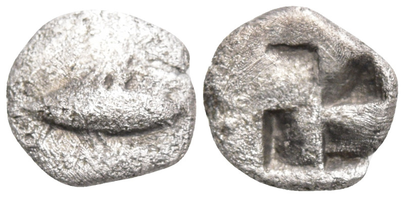 Greek
MYSIA. Kyzikos. (Circa 520-480 BC).
AR Hemiobol (8.7mm 0.46g)