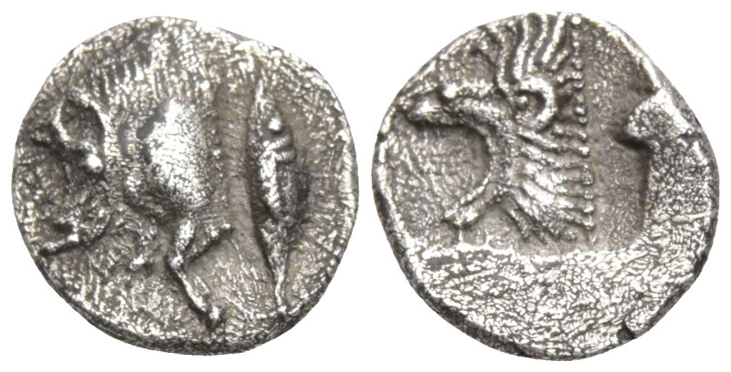 Greek
MYSIA. Kyzikos. (450-400 BC)
AR Obol (8.3mm 0.51g)