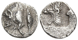 Greek
MYSIA. Kyzikos. (450-400 BC)
AR Obol (8.3mm 0.51g)