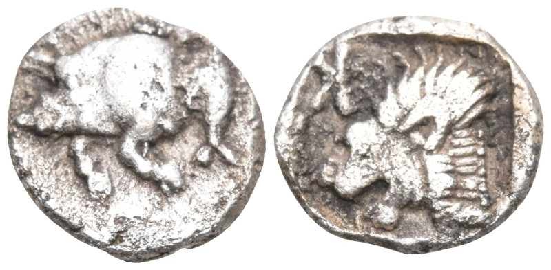 Greek
MYSIA. Kyzikos. (Circa 450-400 BC).
AR Obol (10mm 0.74g)