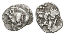 Greek
MYSIA. Kyzikos. (450-400 BC)
AR Hemiobol (8.8mm 0.4g)
