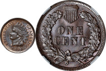 1904 Indian Cent. MS-66 BN (NGC).

PCGS# 2217. NGC ID: 228Z.