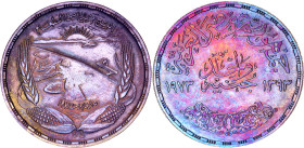 Egypt 1 Pound 1973 AH 1393