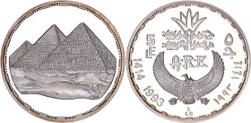Egypt 5 Pounds 1993 AH 1414