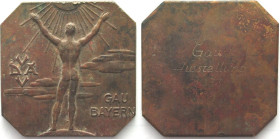 THIRD REICH. German Amateur Photographer Federation (VDAV), plaque 1933, BAVARIA GAU EXHIBITION, cast bronze, 65mm, RARE! VF-XF