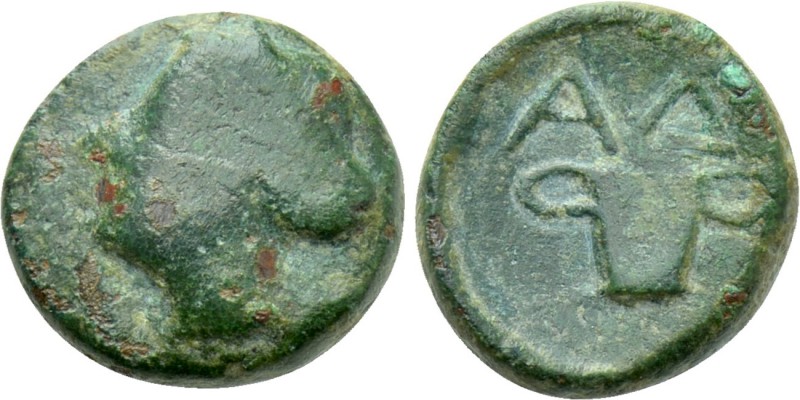 THRACE. Adhyras. Ae (Early 4th century BC).

Obv: Female head left, with hair ...