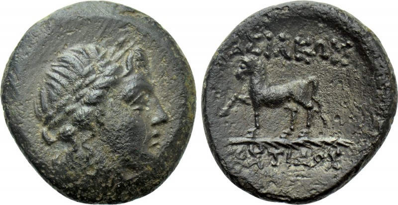 KINGS OF THRACE (Kainian). Mostis (Circa 139/8-101/0 BC). Ae. 

Obv: Laureate ...