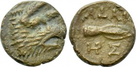KINGS OF THRACE (Seleukid). Adaios (Strategos, circa 255-245 BC). Ae. Kypsela.