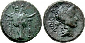 PHOKIS. Elateia. Ae (3rd-2nd centuries BC).