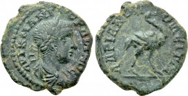THRACE. Hadrianopolis. Gordian III (238-244). Ae.