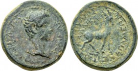 PHRYGIA. Apamea. Germanicus (Caesar, 15 BC-19 AD). Ae. Struck under Tiberius. Gaios Ioulios Kallikles, magistrate.