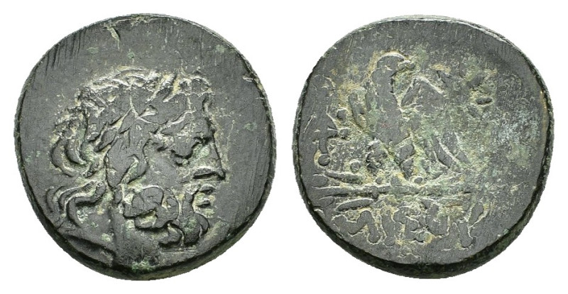 PONTOS.Amisos.Mithradates VI.(Circa 85-65 B)C.Ae.

Obv : Laureate head of Zeus r...