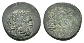 PONTOS.Amisos.Mithradates VI.(Circa 85-65 B)C.Ae.

Obv : Laureate head of Zeus right.

Rev : AMIΣOY.
Eagle standing left on thunderbolt, wings open, h...
