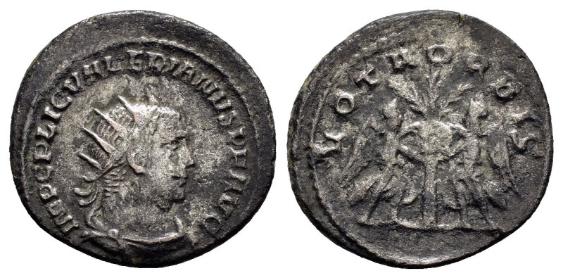 VALERIAN I (253-260). Antoninianus. Samosata.

Obv : IMP C P LIC VALERIANVS AVG....