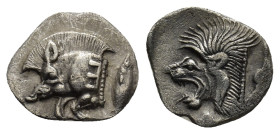 MYSIA. Cyzicus. Ca. 450-400 BC. AR obol (0.80 Gr. 12mm.) 
Forepart of boar left, with E (retrograde) on shoulder; tunny upward behind 
Rev. Head of ro...