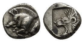 Mysia. Kyzikos AR Obol 450-400 BC. (1.27 Gr. 10mm.)
Forepart of boar left, tunny behind.
 Rev. Head of lion left.