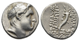 Seleukid Kings of Syria, Demetrios I AR Drachm. Antioch (3.9 Gr.16mm)
Diademed head of Demetrios right 
Rev. Cornucopiae; monograms and date below.