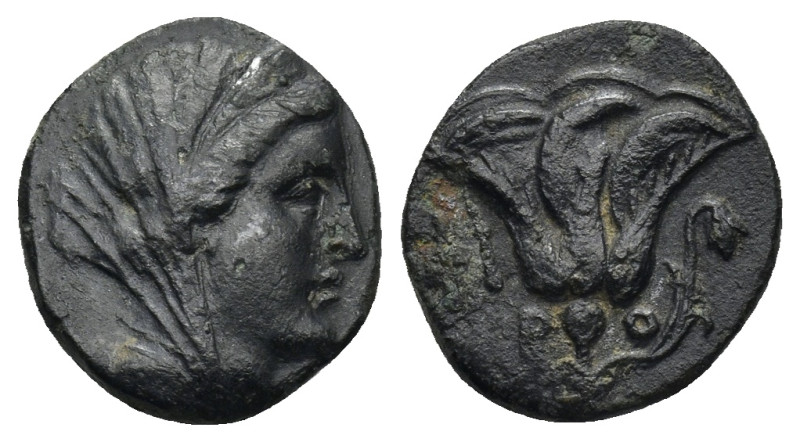 Caria. Rhodos. 120-84 BC AE (2.1 Gr. 13mm.). 
Radiate head of Helios right. 
Rev...