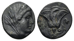 Caria. Rhodos. 120-84 BC AE (2.1 Gr. 13mm.). 
Radiate head of Helios right. 
Rev. Rose between P - O; to right, aplustre, to left, kerykeion?.