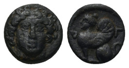 Caria, Kaunos. Ca. 386-300 B.C. AE (0.9 Gr. 9mm.). 
Facing head of Apollo 
Rev. Sphinx seated left.