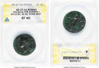 Marcus Agrippa, lieutenant of Augustus (died 12 BC). AE as (28mm, 7h). ANACS XF 40. Posthumous issue, Rome, AD 37-41. M•AGRIPPA•L•F•COS•III•, head of ...