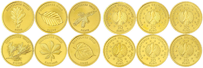 Goldmünzen der Bundesrepublik Deutschland

Euro, ab 2002

Komplettset mit 6 ...