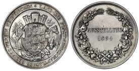 Römisch Deutsches Reich

Haus Habsburg

Franz Joseph I., 1848-1916

Silbermedaille 1894. Land- und forstwirtsch. Bezirksverein Neunkirchen. 38 m...